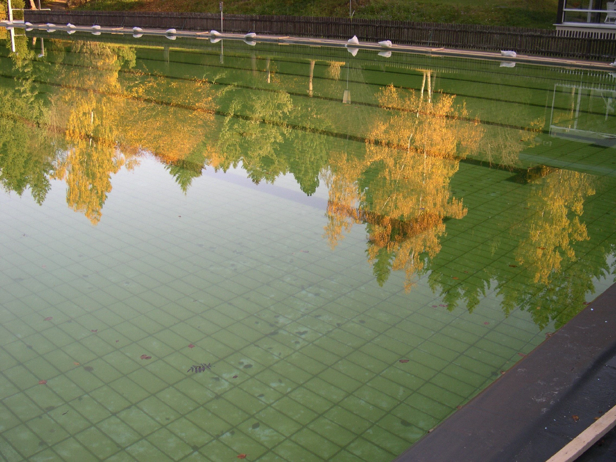 herbst004